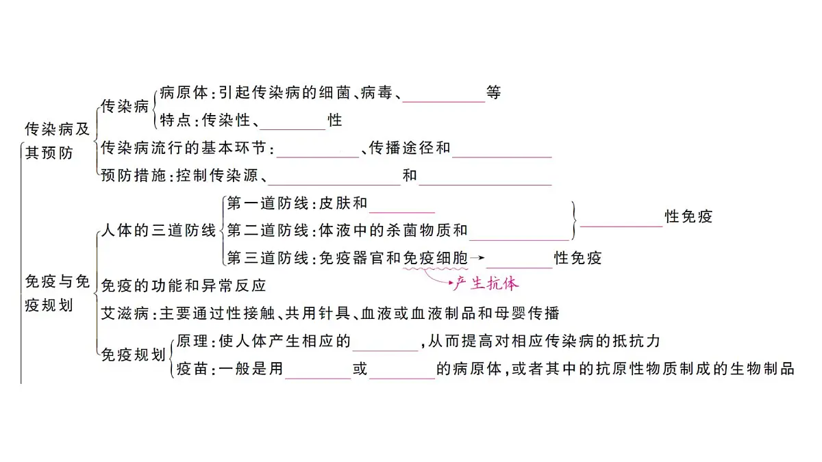 初中生物新人教版八年级上册第四单元第七章聚焦课标·章末冲刺作业课件（含答案）（2025秋）第2页
