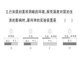 初中生物新人教版八年級(jí)上冊(cè)第五單元第一章微專題 科學(xué)探究作業(yè)課件（含答案）（2025秋）