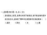初中生物新人教版八年級(jí)上冊(cè)第五單元第一章綜合訓(xùn)練作業(yè)課件（含答案）（2025秋）