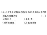 初中生物新人教版八年級上冊第五單元第二章綜合訓(xùn)練作業(yè)課件（含答案）（2025秋）