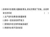 初中生物新人教版八年級上冊第五單元第二章綜合訓(xùn)練作業(yè)課件（含答案）（2025秋）