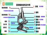 冀少版（2024）生物七上 1.1.1 顯微鏡的使用 課件