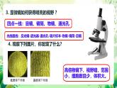 冀少版（2024）生物七上 1.1.1 顯微鏡的使用 課件