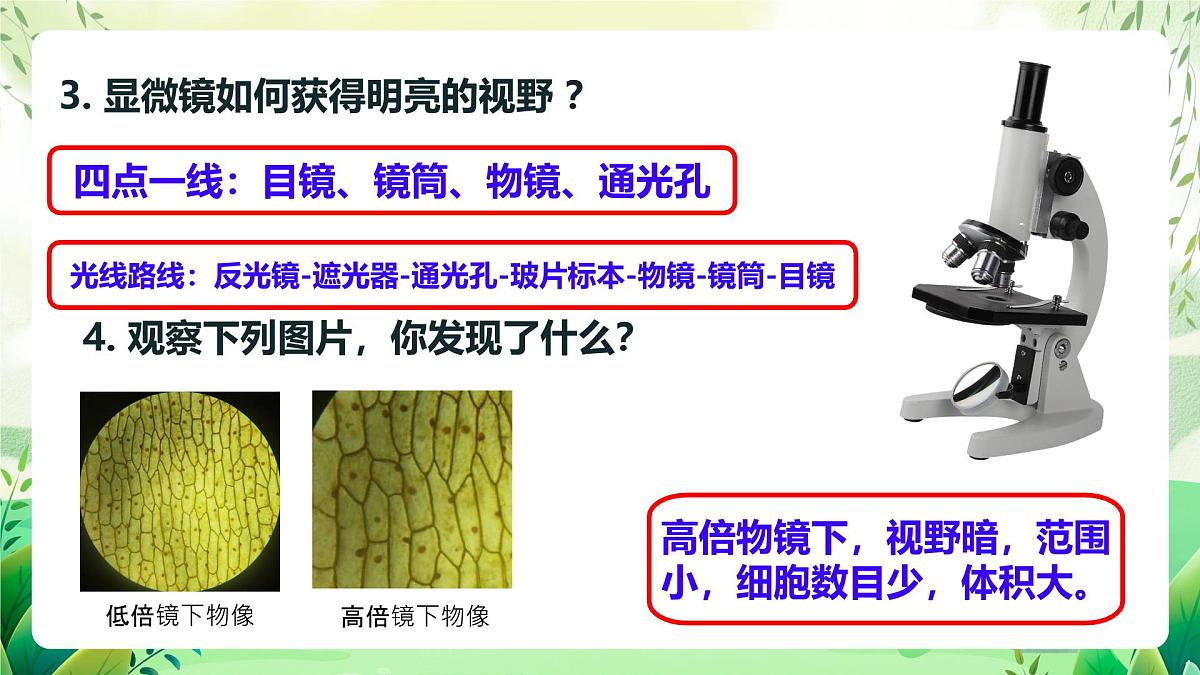 冀少版（2024）生物七上1.1.1 显微镜的使用 课件第4页