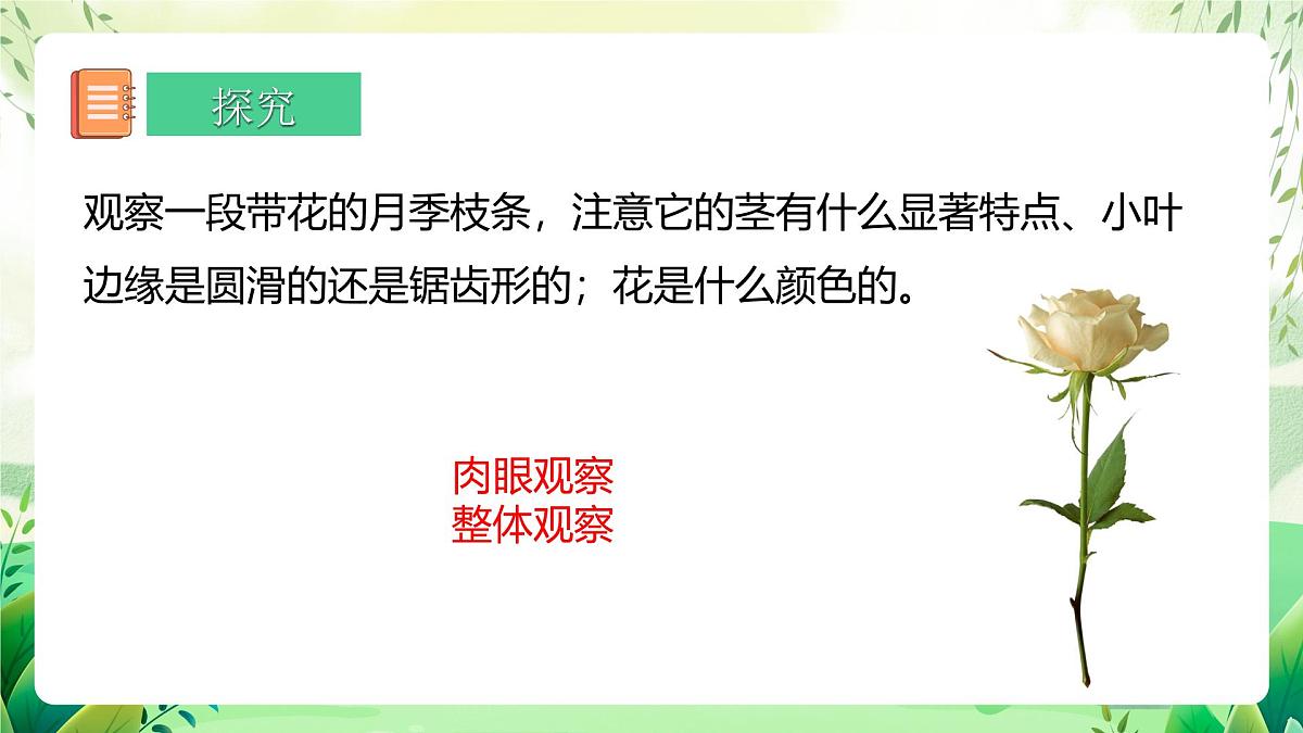 冀少版（2024）生物七上1.1.1 显微镜的使用 课件第6页