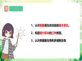冀少版（2024）生物七上 1.1.2 細(xì)胞的形態(tài)  課件