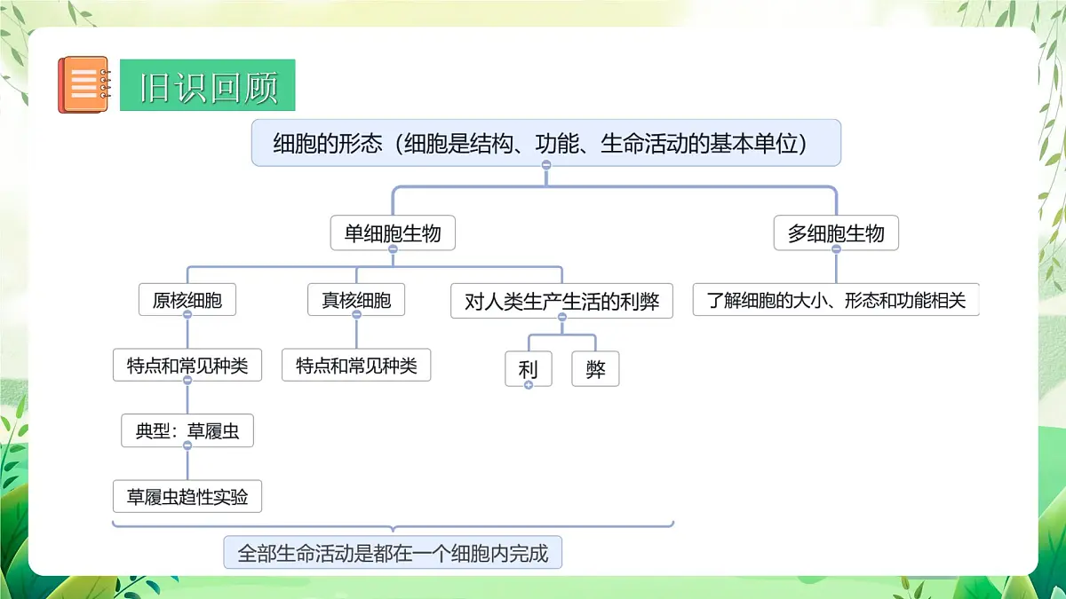 冀少版（2024）生物七上1.1.3 细胞的结构 课件第2页