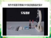 冀少版（2024）生物七上 1.1.3 細(xì)胞的結(jié)構(gòu) 課件