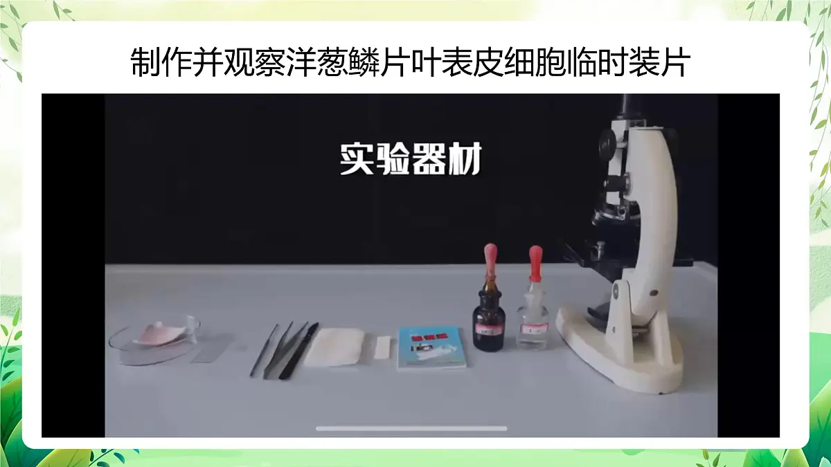 冀少版（2024）生物七上1.1.3 细胞的结构 课件第5页