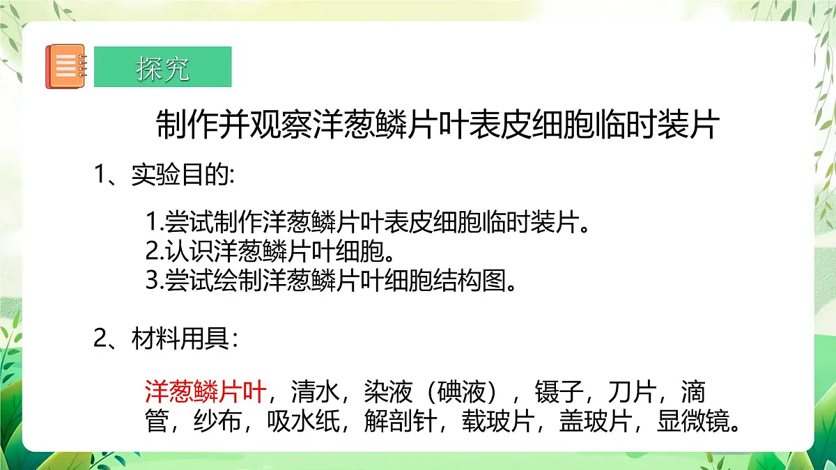 冀少版（2024）生物七上1.1.3 细胞的结构 课件第6页