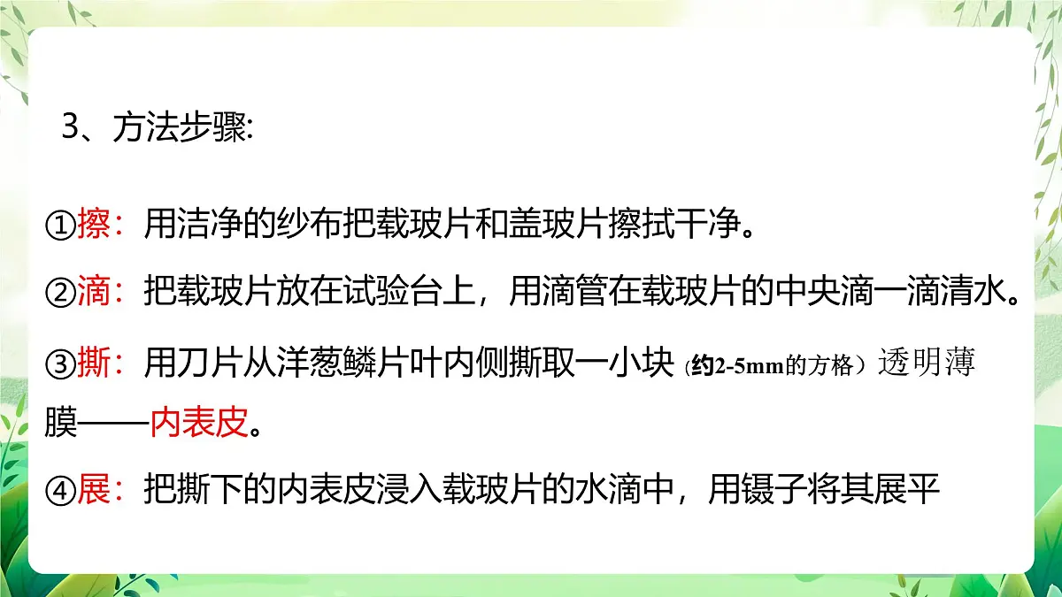 冀少版（2024）生物七上1.1.3 细胞的结构 课件第7页