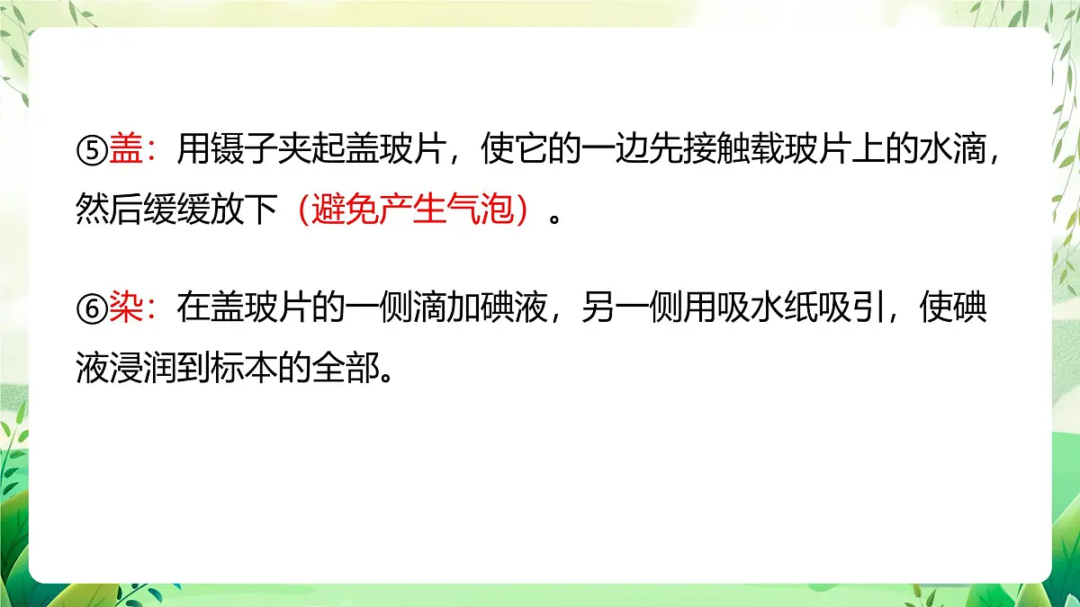 冀少版（2024）生物七上1.1.3 细胞的结构 课件第8页
