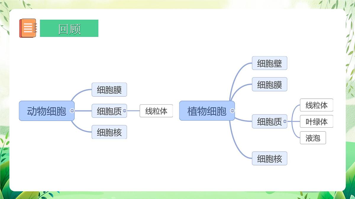 冀少版（2024）生物七上1.1.4  细胞的生命活动 课件第2页