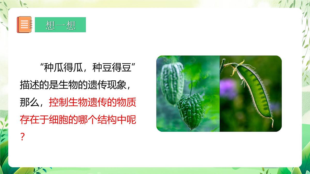 冀少版（2024）生物七上1.1.4  细胞的生命活动 课件第4页