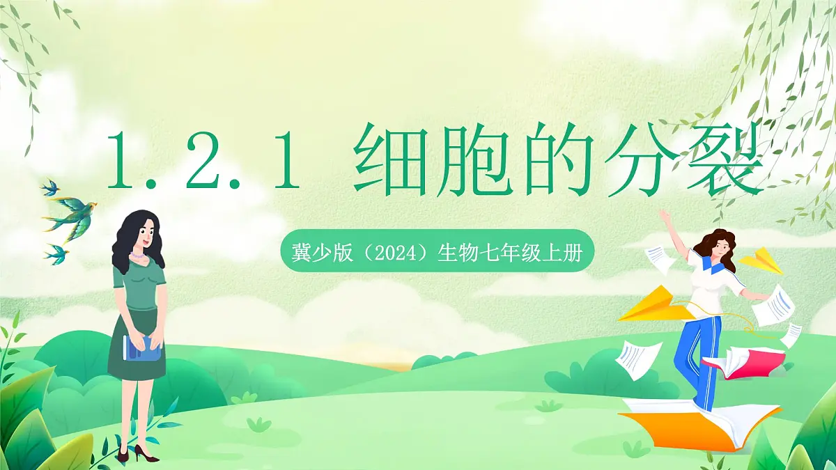 冀少版（2024）生物七上1.2.1 细胞的分裂 课件第1页