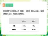 冀少版（2024）生物七上 1.2.1 細(xì)胞的分裂 課件