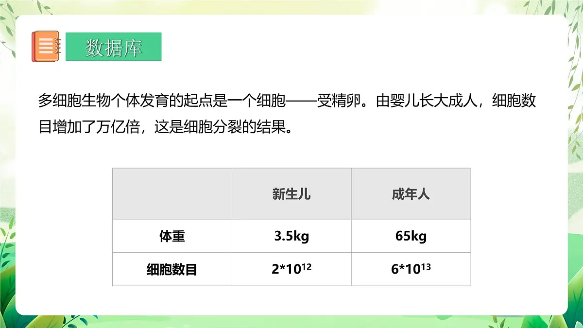 冀少版（2024）生物七上1.2.1 细胞的分裂 课件第2页