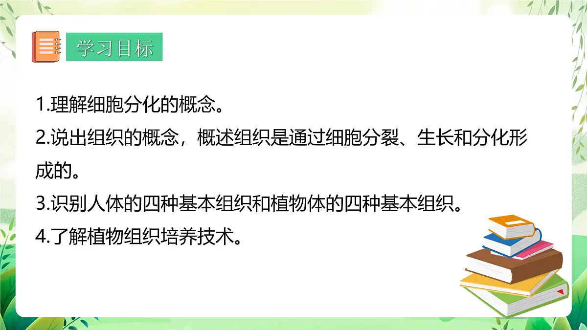 冀少版（2024）生物七上1.2.2 组织的形成 课件第2页