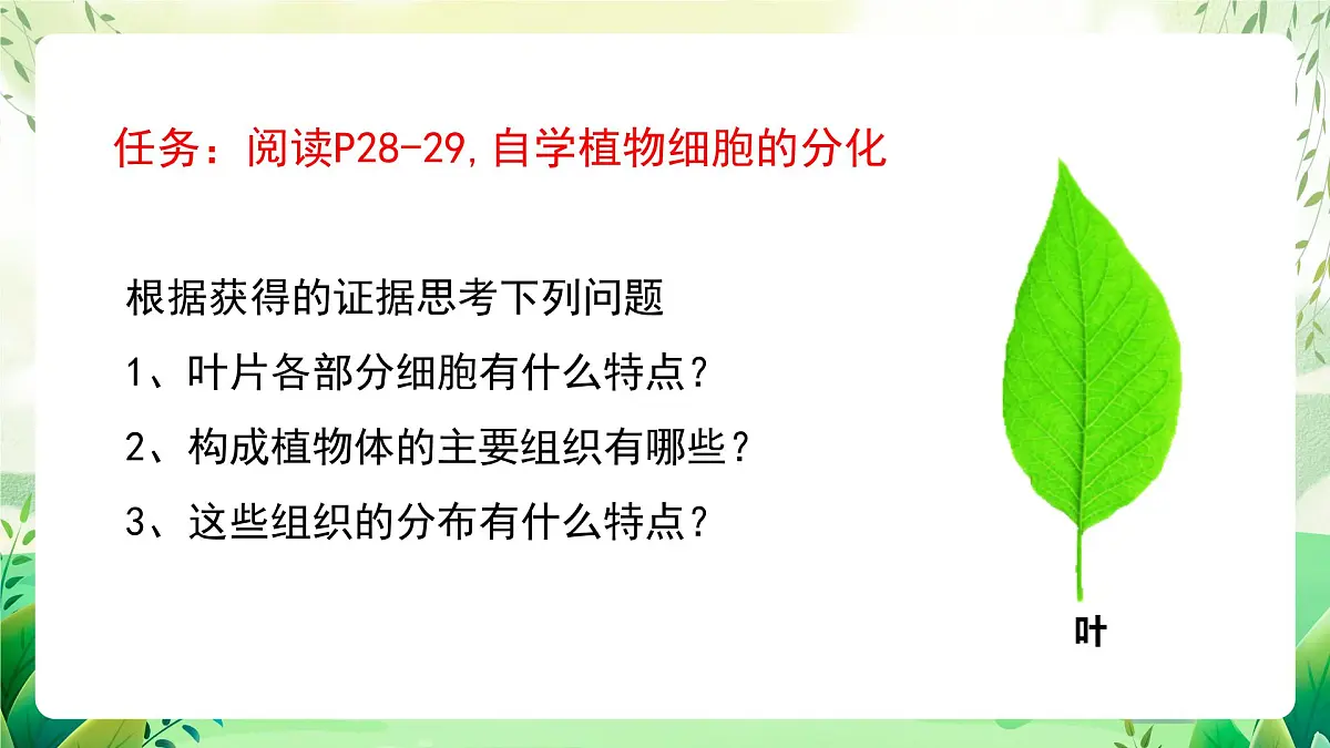 冀少版（2024）生物七上1.2.2 组织的形成 课件第8页