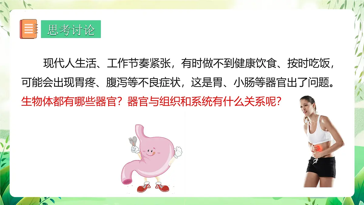 冀少版（2024）生物七上1.2.3 器官和系统 课件第2页