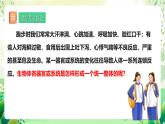 冀少版（2024）生物七上 1.2.4 生物體 課件