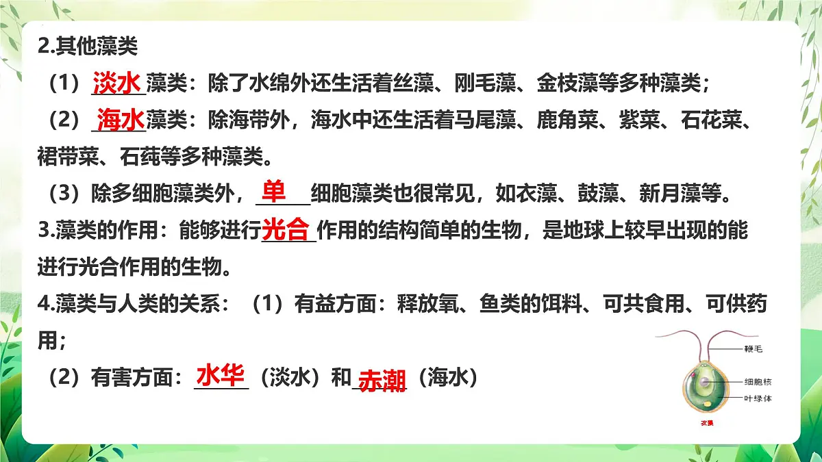 冀少版（2024）生物七上2.1藻类、植物和动物 章末复习 课件第6页