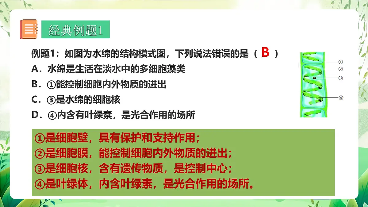 冀少版（2024）生物七上2.1藻类、植物和动物 章末复习 课件第7页