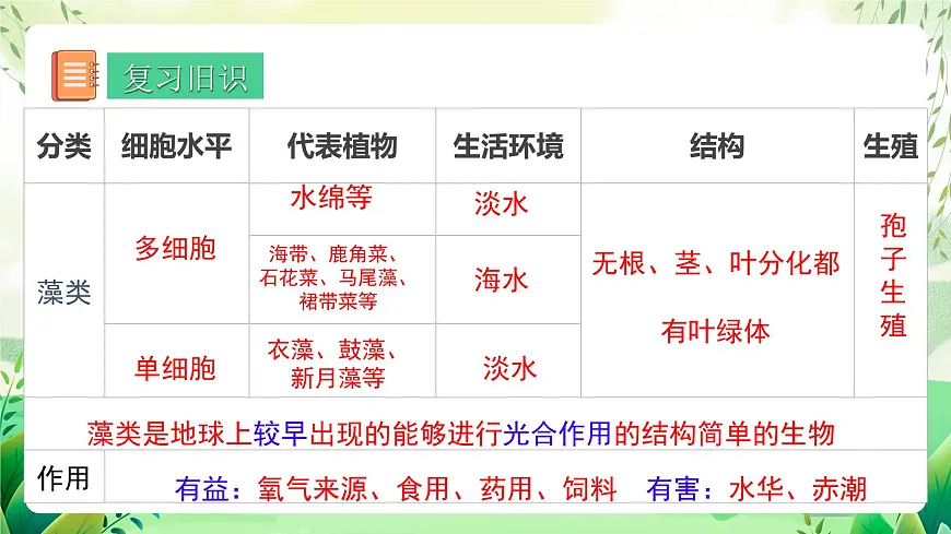冀少版（2024）生物七上2.1.2 一、苔藓植物和蕨类植物 课件第2页