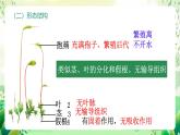冀少版（2024）生物七上 2.1.2 一、苔蘚植物和蕨類植物 課件