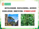 冀少版（2024）生物七上 2.1.2 二、種子植物 課件