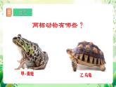 冀少版（2024）生物七上 2.1.4 二、兩棲類和爬行類 課件