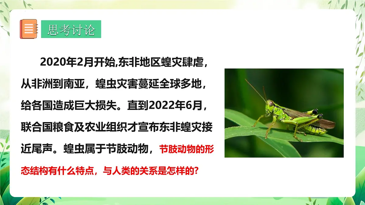 冀少版（2024）生物七上2.1.3 无脊椎动物2 课件第2页
