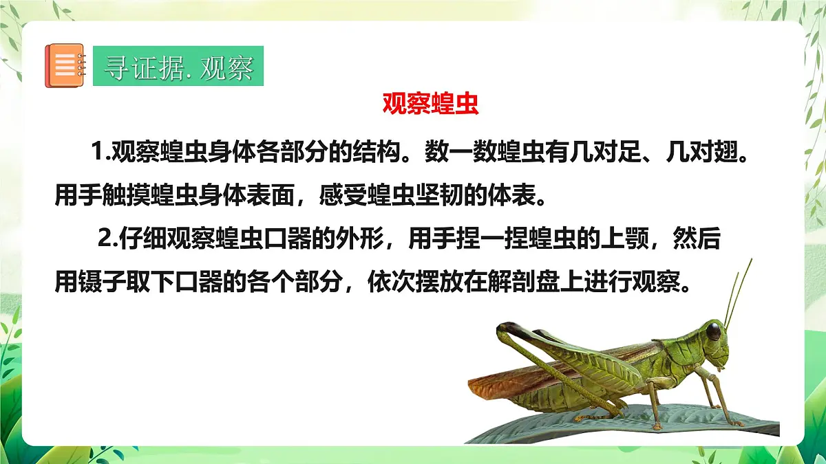冀少版（2024）生物七上2.1.3 无脊椎动物2 课件第3页