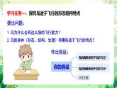 冀少版（2024）生物七上 2.1.4 脊椎動(dòng)物3 課件