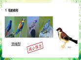 冀少版（2024）生物七上 2.1.4 脊椎動(dòng)物3 課件
