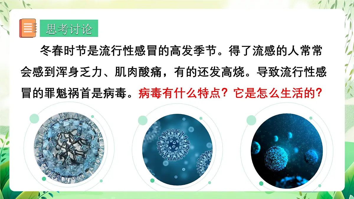 冀少版（2024）生物七上2.2.1 病毒 课件第5页