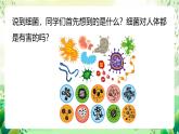 冀少版（2024）生物七上 2.2.2 細(xì)菌 課件