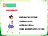 冀少版（2024）生物七上 2.2.3 真菌 課件