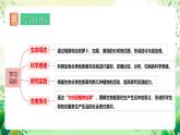 冀少版（2024）生物七上 2.3.2 生物的鑒別 課件