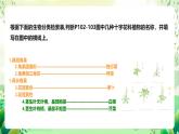 冀少版（2024）生物七上 2.3.2 生物的鑒別 課件