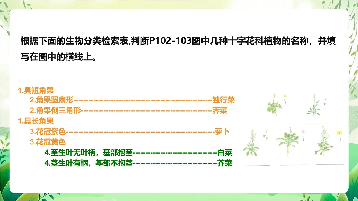 冀少版（2024）生物七上2.3.2 生物的鉴别 课件第3页