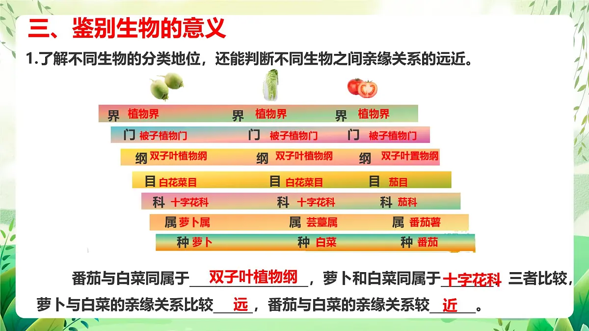 冀少版（2024）生物七上2.3.2 生物的鉴别 课件第8页