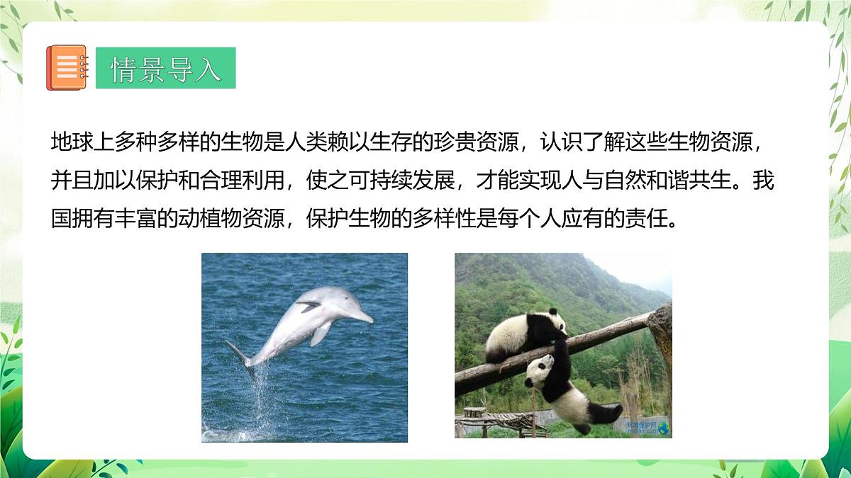 冀少版（2024）生物七上2.4.1 我国的珍稀动植物资源 课件第3页