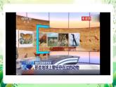 冀少版（2024）生物七上 2.4.2 生物資源的保護(hù) 課件