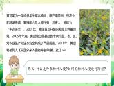 冀少版（2024）生物七上 2.4.3 外來物種入侵的防控 課件