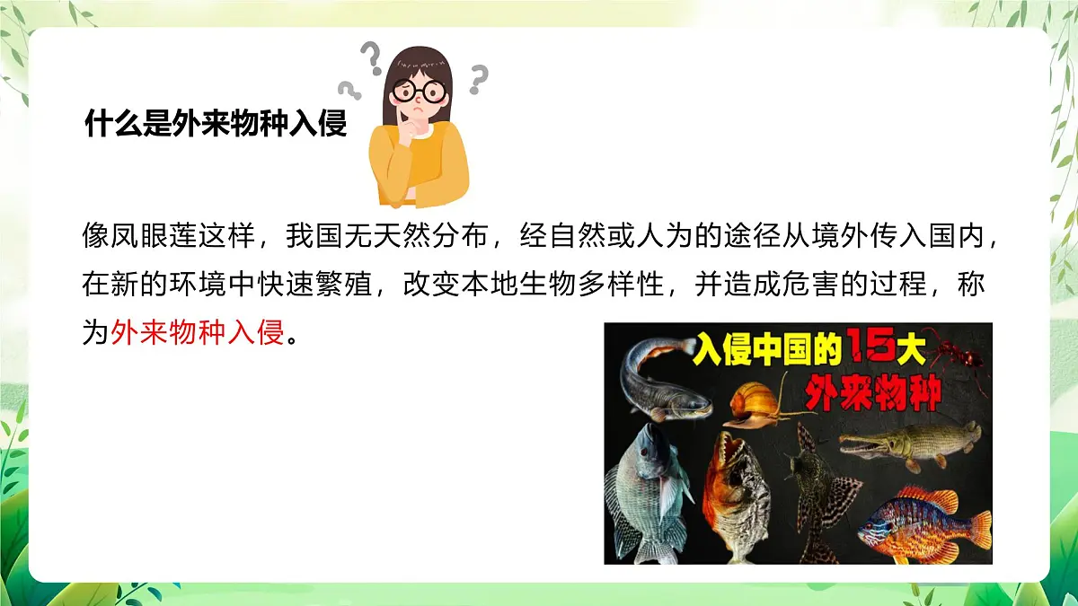 冀少版（2024）生物七上2.4.3 外来物种入侵的防控 课件第7页