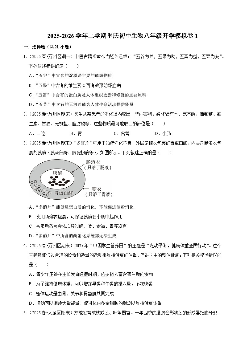 2025-2026学年上学期重庆初中生物八年级开学模拟卷1第1页