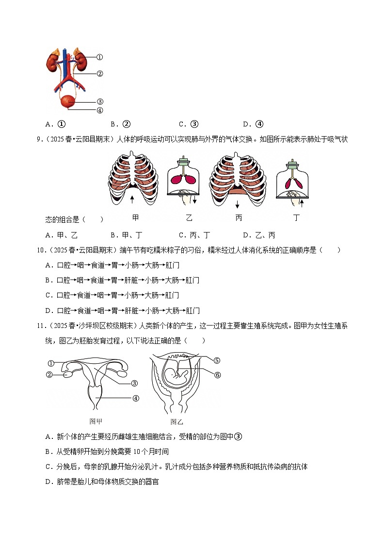 2025-2026学年上学期重庆初中生物八年级开学模拟卷3第3页