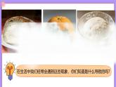 12.1.1《微生物的特點和主要類型》  第1課時    課件+教案