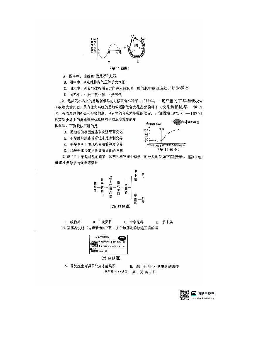 2025年陕西省西安高新第一中学初中部中考四模生物试卷(无答案)第3页
